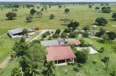 Chácara / sítio com 3 quartos à venda no Centro, Macaíba 