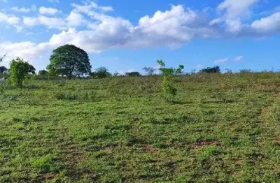 Fazenda com 300 hectares na região de boa saúde cortada pelo rio trairi boa de pasto e água