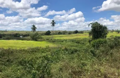 Fazenda com 590 hectares na região de monte alegre estruturada