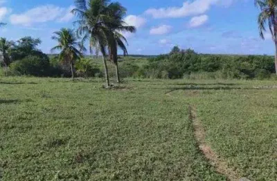 Chácara / sítio com 3 quartos à venda no Centro, Pureza 