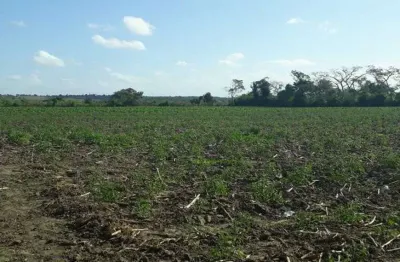 Chácara / sítio com 3 quartos à venda no Centro, Monte Alegre 
