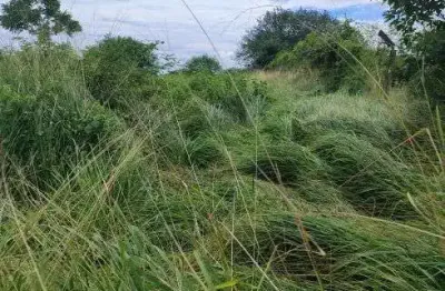 Fazenda com 270 hectares em bom jesus plantada com água