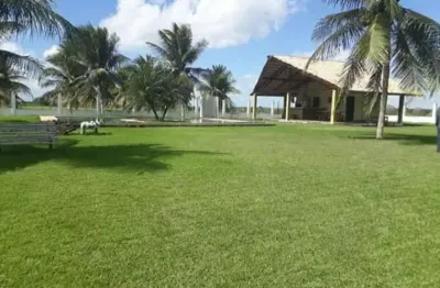 Chácara / sítio com 4 quartos à venda no Centro, Bom Jesus 