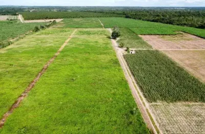 Fazenda com 48 hectares no arena municipal de são josé de mipibu-rn terra excelente