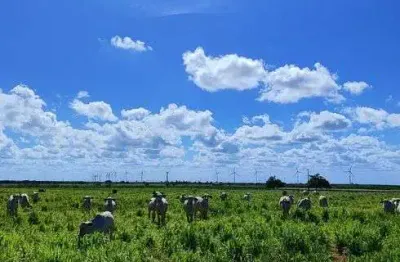 Fazenda de porteira fechada com 75 hectares com 2 casas cural piquete irrigado 83 nelore etc.