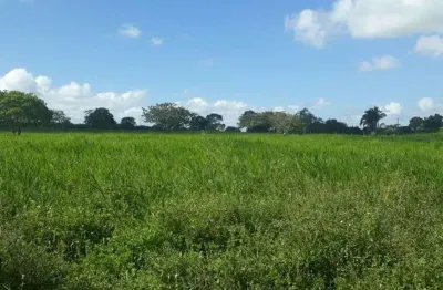 Chácara / sítio com 3 quartos à venda no Centro, Vera Cruz 