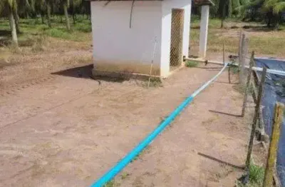 Fazenda de coqueiros de porteira fechada em ceará mirim
