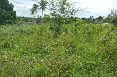 Fazenda com 200 hectares na região de são gonçalo do amarante