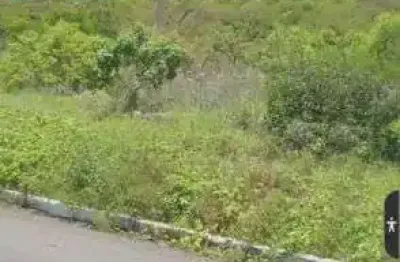 Fazenda com 36 hectares com licença para exploração de pedreira