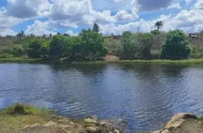 Excelente fazenda com 150 hectares na região de pedro velho