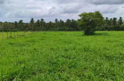 Fazenda com 1.000 hectares de porteira fechada na região de vera cruz grande natal
