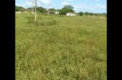 Fazenda com 110 hectares próximo a cajazeiras sentido são pedro do potengi