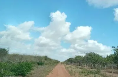 Ótima fazenda com 497 hectares na região de joão câmara terra com grande potencial