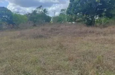 Chácara / sítio com 3 quartos à venda no Centro, Pedro Velho 