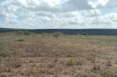 Excelente fazenda com 497 hectares na região de joão câmara terra com grande potencial