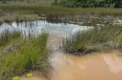 Excelente fazenda com 126 hectares na região de pedro velho-rn