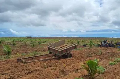 Fazenda/sítio/chácara para venda tem 2 metros quadrados em centro - touros - rio grande do norte
