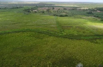 Fazenda com 1.200 hectares na região de punau em rio do fogo terra excelente para plantação etc.