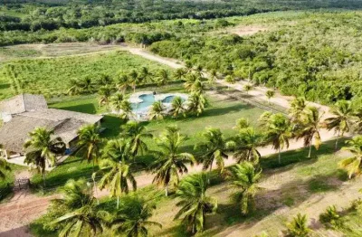 Fazenda com 92 hectares de dom marcílio com 4.300 pés de coqueiros híbridos um luxo de estrutura