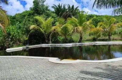 Fazenda com 80 hectares entre goianinha e canguaretama um oásis de luxo