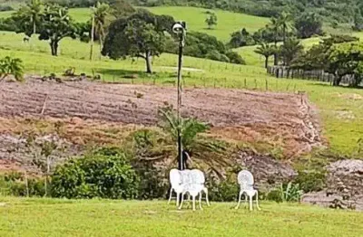 Fazenda com 58 hectares bastante estruturada com várias nascentes água mineral, um paraíso tropical