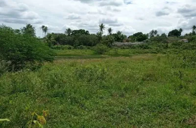 Fazenda com 200 hectares na região de são gonçalo do amarante