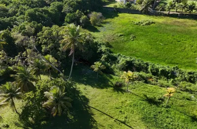 Granja com 1.5 hectares cortada pelo belíssimo rio perene da região  com 2 casas  murada com uma localização perfeita