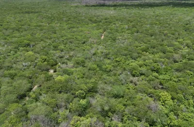 Fazenda com 3.200 hectares entre assu e carnaubais  uma terra  com. Grande potencial  energético ou agricultura