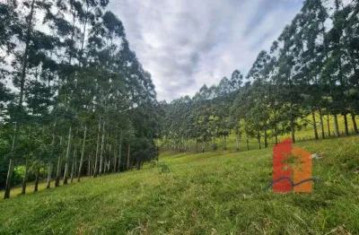 Propriedade rural à venda – 80.520 m² em paulo lopes/sc