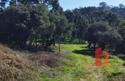 Terreno de 2 hectares em urubici – altitude, clima frio e oportunidade para projetos sustentáveis