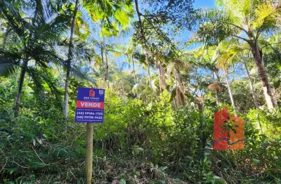 Terreno de 610 m² à venda no morro do siriú – garopaba/sc | próximo a cachoeira do siriú