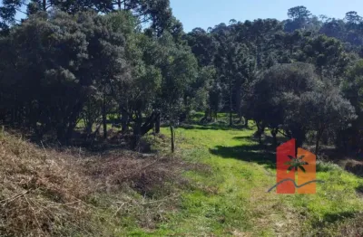 Terreno de 2 hectares em urubici – altitude, clima frio e pronto para projetos sustentáveis
