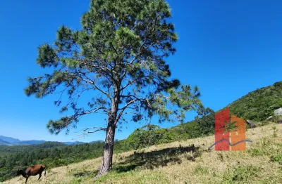 Terreno rural - sítio de 4,4 ha à venda | aceita permuta – albardão, palhoça / sc