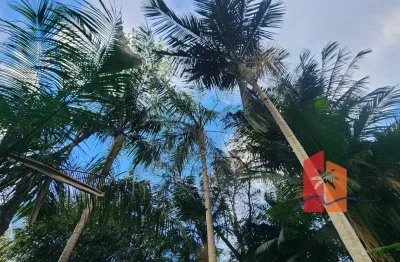 Terreno paraíso da tajuva à venda – 18.300m² – morro do freitas, paulo lopes/sc