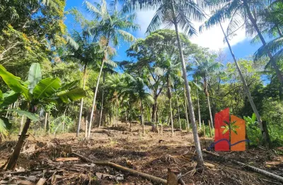 Terreno de 610m² no siriú - garopaba à venda | 1,8km praia do siriú | a 50m trilha para cachoeira