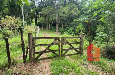 Terreno 24.903,55 m² com saída para BR-101 com excelente potencial construtivo no Morro do Agudo – Paulo Lopes, SC