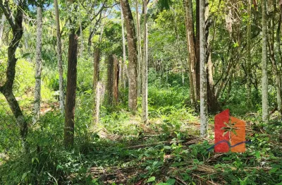 Terreno de 1.750 m² à venda no Morro do Siriú  | Praia do Siriú - Garopaba, SC