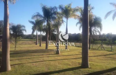 Chácara à venda, 2020 m² - gleba fazenda palhano - londrina/pr