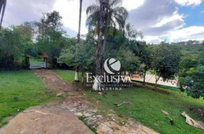 Chácara com 4 dormitórios à venda, 29500 m² - estrada do limoeiro - londrina/pr