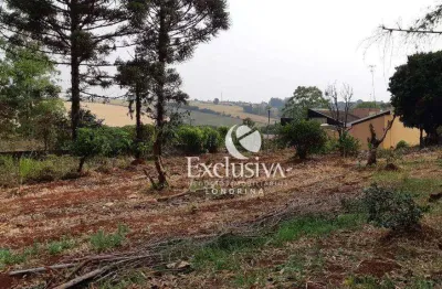 Terreno à venda, 3200 m² - centro - rolândia/paraná