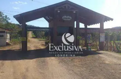 Chácara à venda, 10000 m² - chácara fazenda itaúna - ibiporã/pr