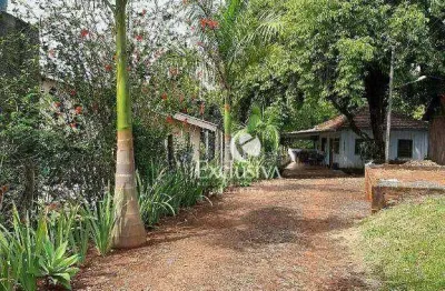 Chácara com 2 quartos à venda, 24200 m²  - jardim capricornio - rolândia/pr