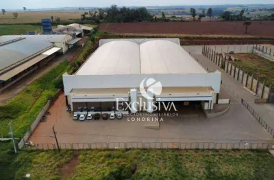 Barracão à venda, 7500 m² -  zona rural - arapongas/pr