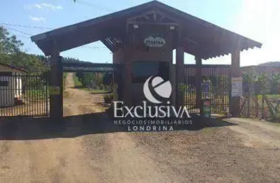 Chácara à venda, 3800 m² - chácara fazenda itaúna - ibiporã/pr