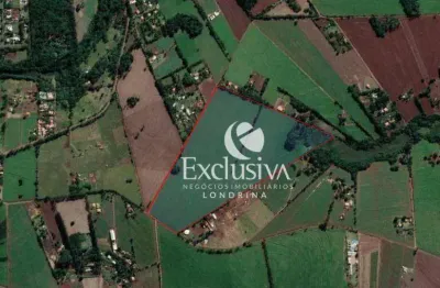 Sítio à venda, 363000 m² - estrada da cegonha - londrina/pr