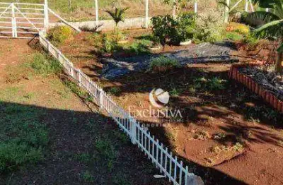 Chácara com 2 quartos à venda, 1076 m² -  rural - jataizinho/pr