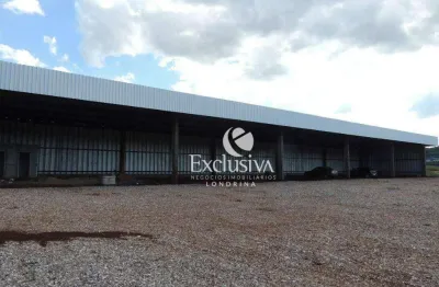 Barracão para alugar, 860 m² - industrial - londrina/pr
