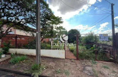 Terreno à venda, 600 m² - vila matarazzo - londrina/pr