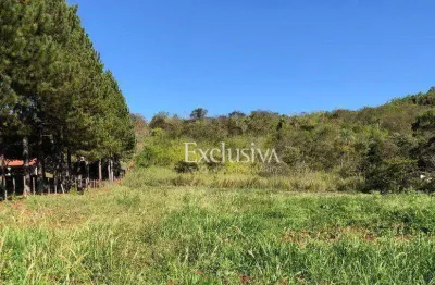 Chácara à venda, 20000 m² - fazenda chácaras itauna - ibiporã/pr
