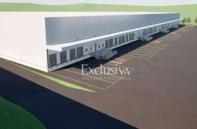 Barracão industrial em condomínio fechado para alugar, 22.000 m² - cidade industrial 1 - londrina/pr